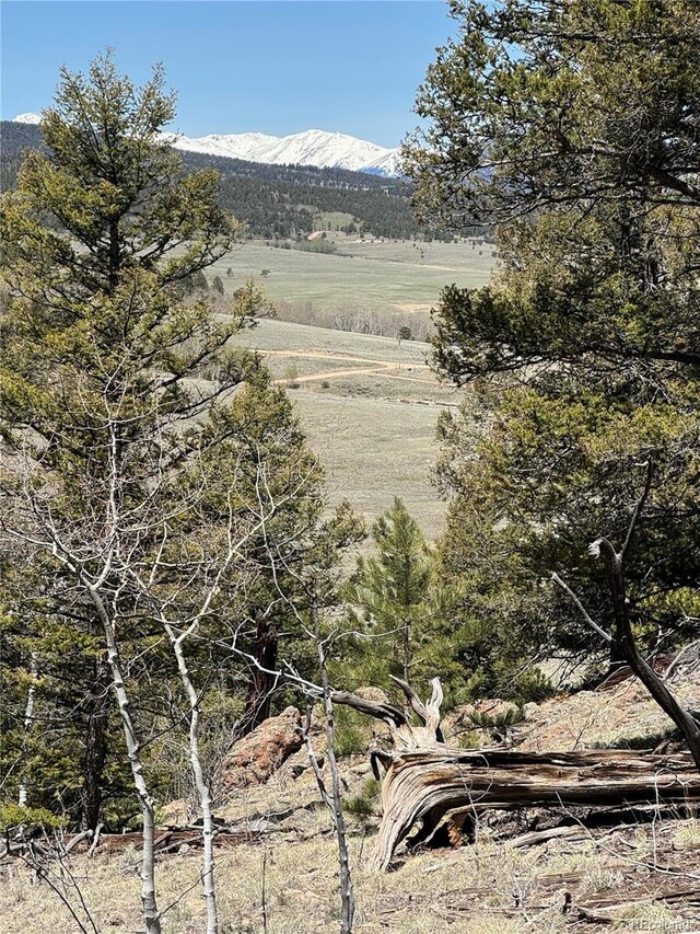 353 Adobe Rd, Hartsel, CO 80449 - photo 9