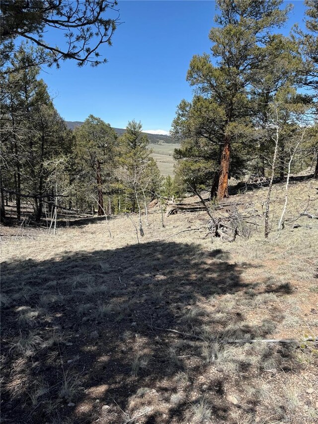 353 Adobe Rd, Hartsel, CO 80449 - photo 10