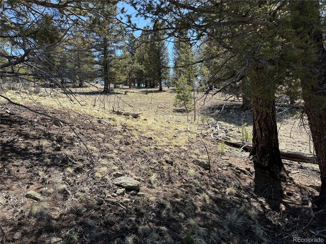 353 Adobe Rd, Hartsel, CO 80449 - photo 14