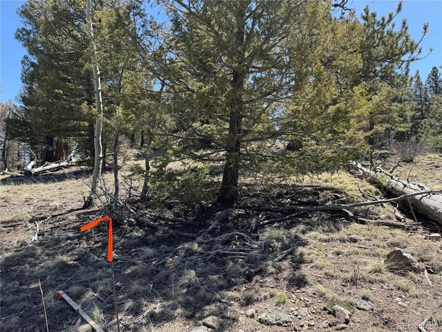 353 Adobe Rd, Hartsel, CO 80449 - photo 15