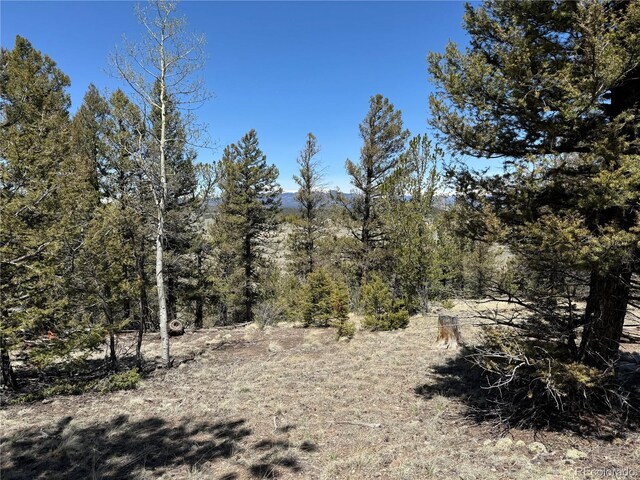 353 Adobe Rd, Hartsel, CO 80449 - photo 16