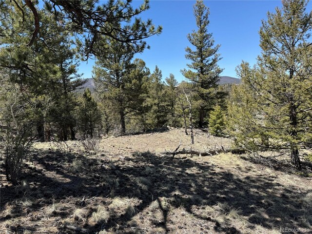 353 Adobe Rd, Hartsel, CO 80449 - photo 18
