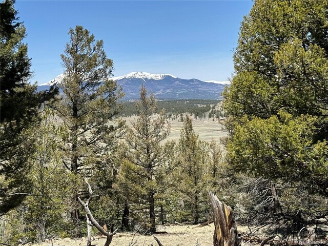 353 Adobe Rd, Hartsel, CO 80449 - photo 19