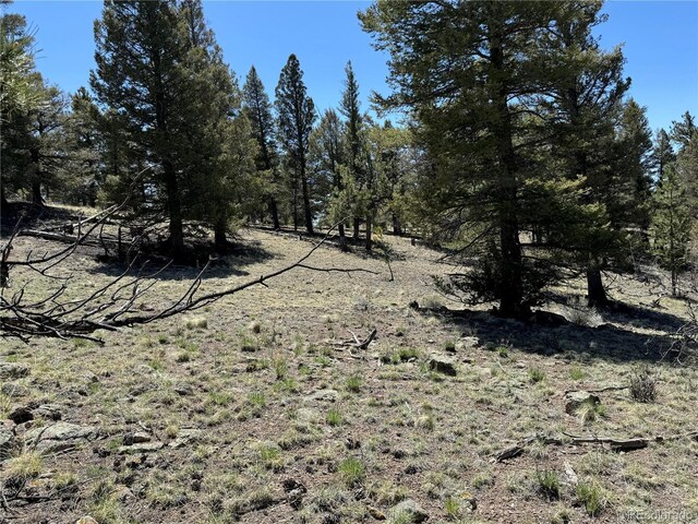 353 Adobe Rd, Hartsel, CO 80449 - photo 20
