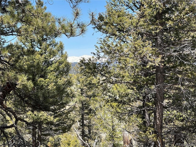 353 Adobe Rd, Hartsel, CO 80449 - photo 21