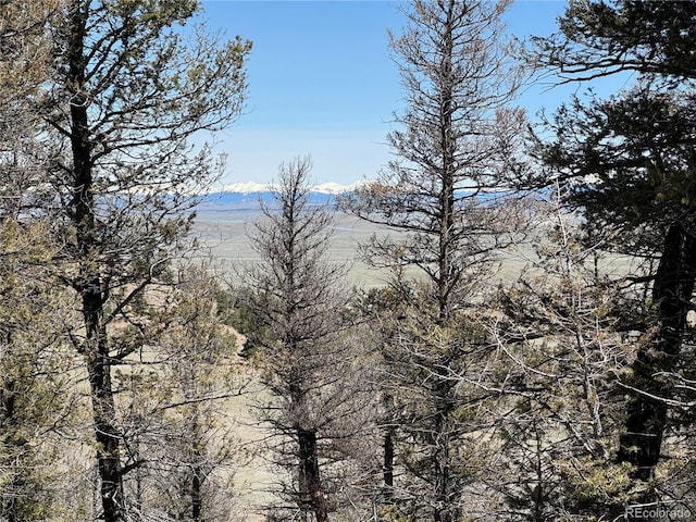 353 Adobe Rd, Hartsel, CO 80449 - photo 22