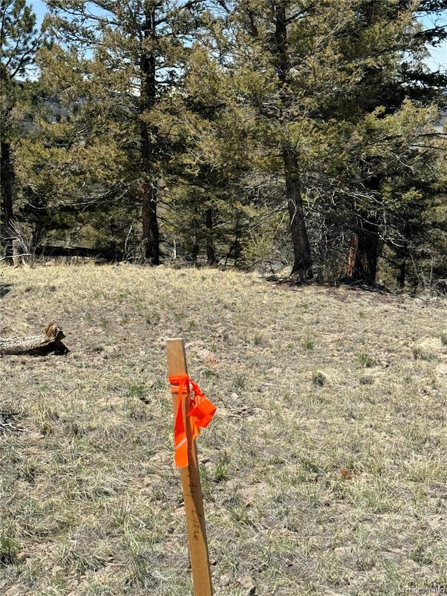 353 Adobe Rd, Hartsel, CO 80449 - photo 26