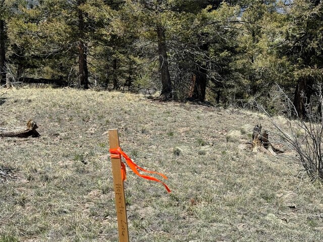353 Adobe Rd, Hartsel, CO 80449 - photo 27