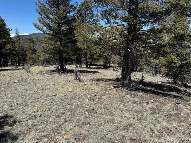 353 Adobe Rd, Hartsel, CO 80449 - photo 28