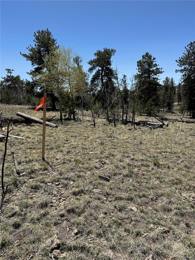 353 Adobe Rd, Hartsel, CO 80449 - photo 29