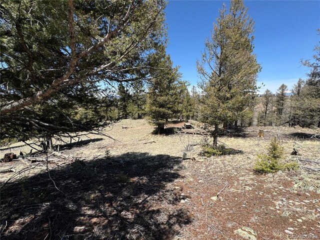 353 Adobe Rd, Hartsel, CO 80449 - photo 31