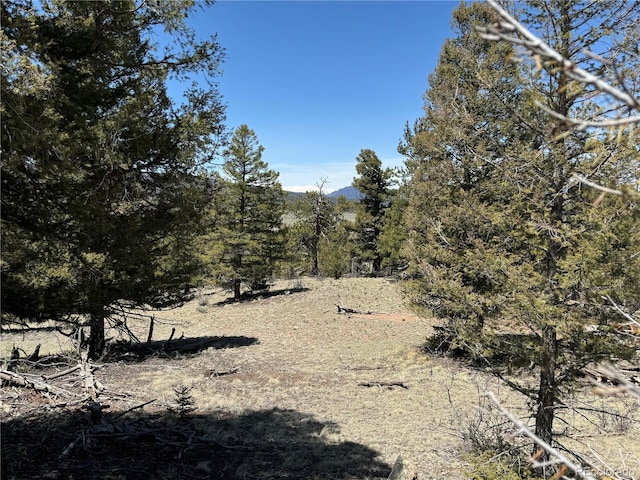 353 Adobe Rd, Hartsel, CO 80449 - photo 32