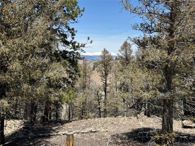 353 Adobe Rd, Hartsel, CO 80449 - photo 33