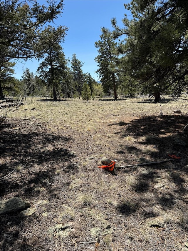353 Adobe Rd, Hartsel, CO 80449 - photo 35