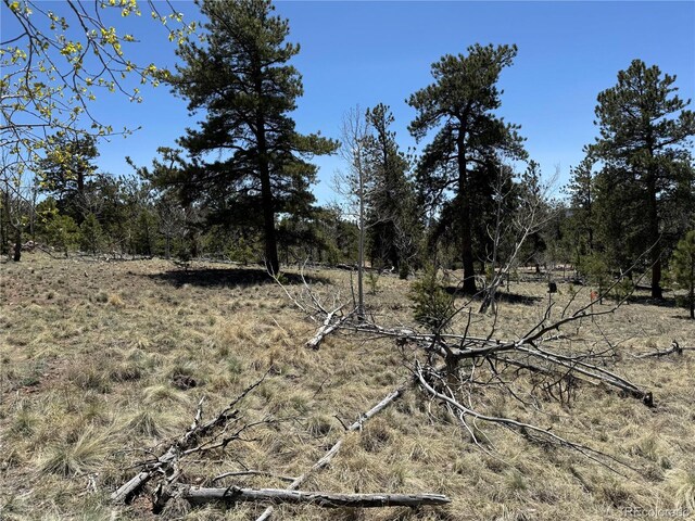 353 Adobe Rd, Hartsel, CO 80449 - photo 38