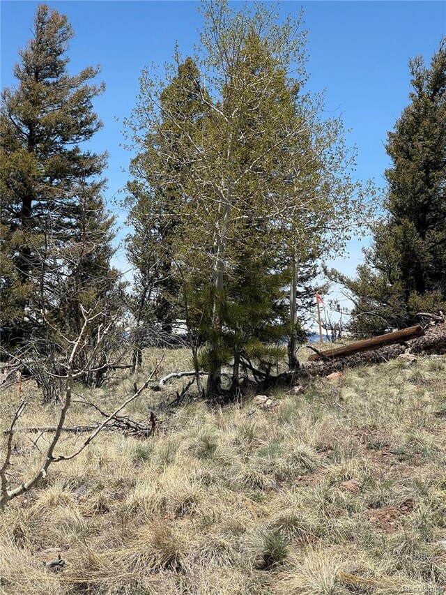353 Adobe Rd, Hartsel, CO 80449 - photo 39