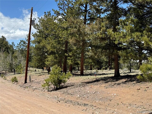 353 Adobe Rd, Hartsel, CO 80449 - photo 41
