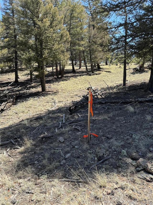 353 Adobe Rd, Hartsel, CO 80449 - photo 42