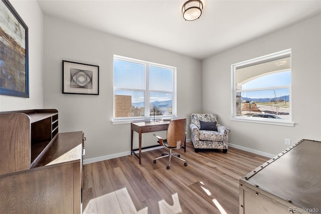 office with baseboards and wood finished floors