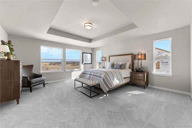 carpeted bedroom with baseboards and a raised ceiling