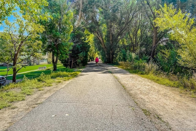 650 S Alton Way Unit 10A, Denver, CO 80247 - view of road