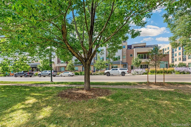 4062 W 17th Ave, Denver, CO 80204 - photo 34