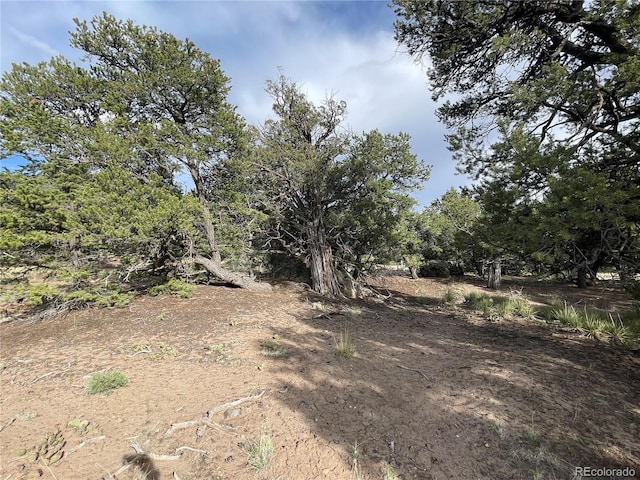 3611 Splendid Ter, Crestone, CO 81131