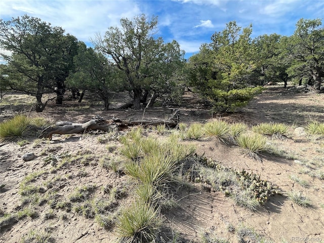 3611 Splendid Ter, Crestone, CO 81131