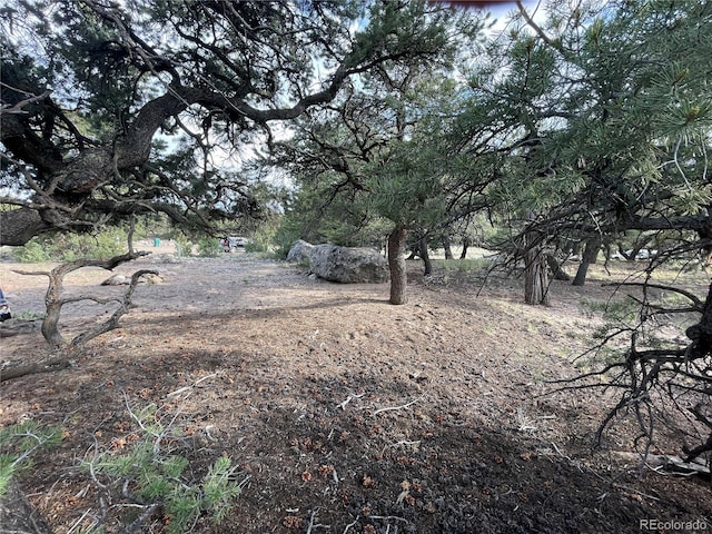 3611 Splendid Ter, Crestone, CO 81131