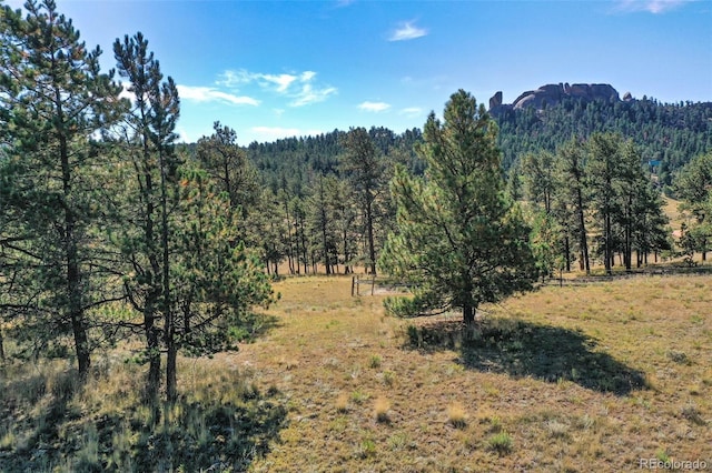 view of mountain feature