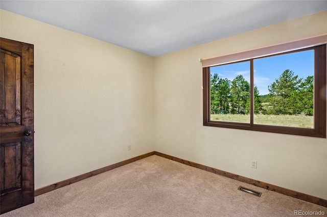 spare room featuring light colored carpet