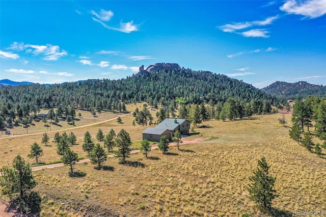 property view of mountains with a rural view