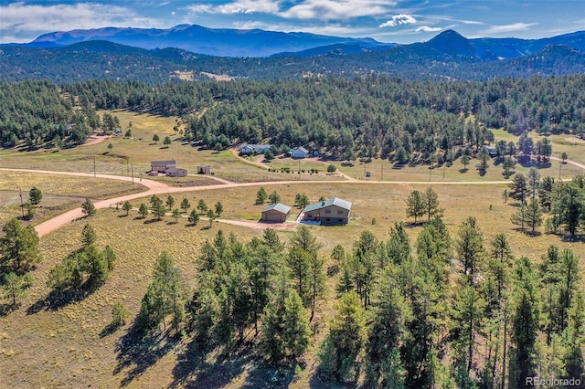 aerial view with a mountain view and a rural view