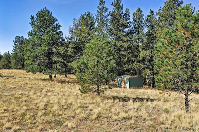 view of yard with a storage unit