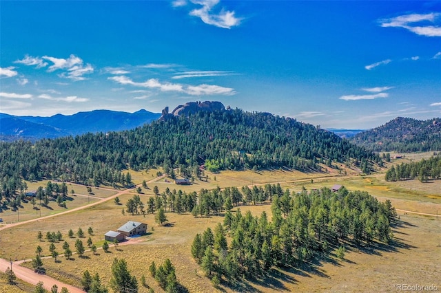 property view of mountains with a rural view