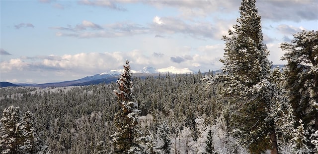 169 Arctic Cat Ln, Fairplay, CO 80440 - photo 6