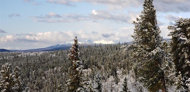 169 Arctic Cat Ln, Fairplay, CO 80440 - photo 7