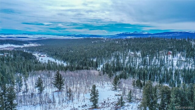 169 Arctic Cat Ln, Fairplay, CO 80440 - photo 12