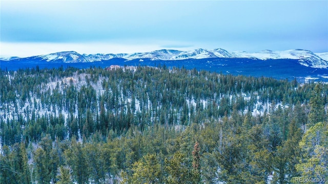 169 Arctic Cat Ln, Fairplay, CO 80440 - photo 13