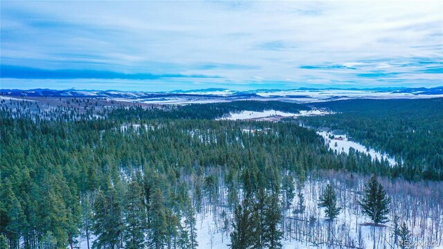 169 Arctic Cat Ln, Fairplay, CO 80440 - photo 14
