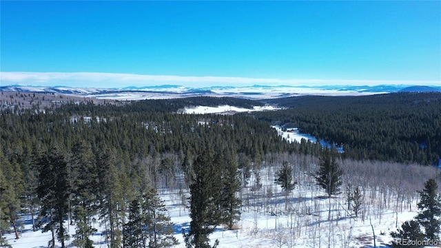 169 Arctic Cat Ln, Fairplay, CO 80440 - photo 25