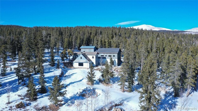 169 Arctic Cat Ln, Fairplay, CO 80440 - photo 27
