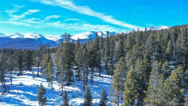 169 Arctic Cat Ln, Fairplay, CO 80440 - photo 30