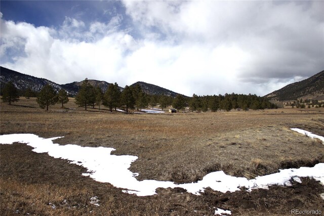 43 Stoll Cir, Lake George, CO 80827