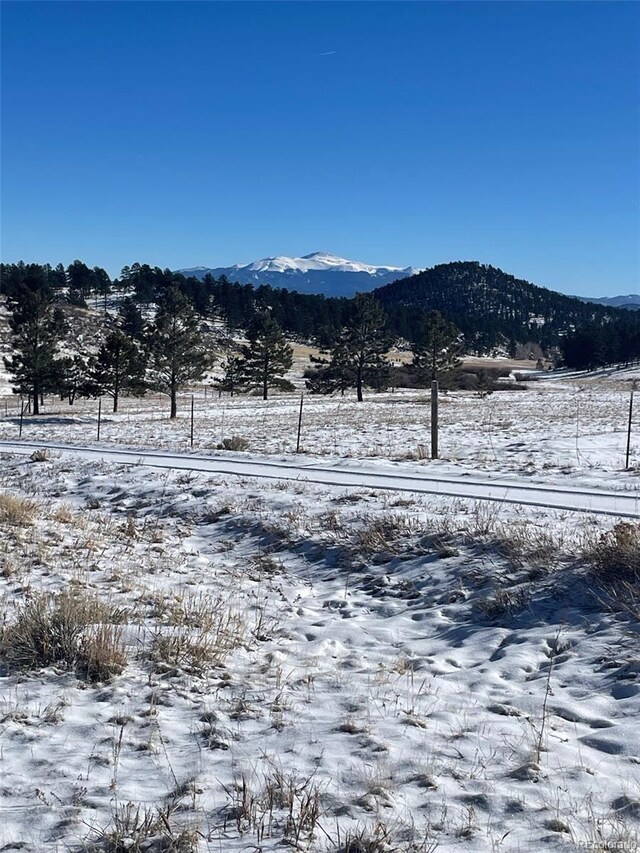 43 Stoll Cir, Lake George, CO 80827
