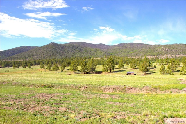 43 Stoll Cir, Lake George, CO 80827