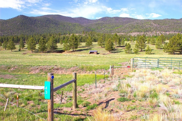 43 Stoll Cir, Lake George, CO 80827