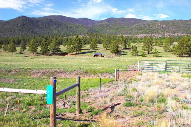 43 Stoll Cir, Lake George, CO 80827
