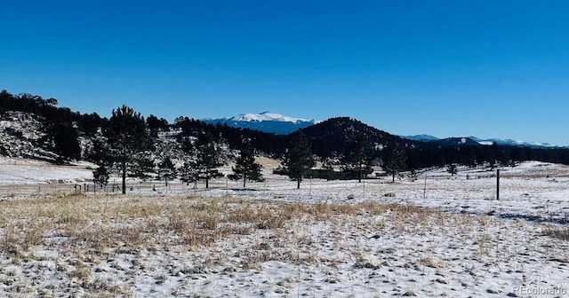 43 Stoll Cir, Lake George, CO 80827