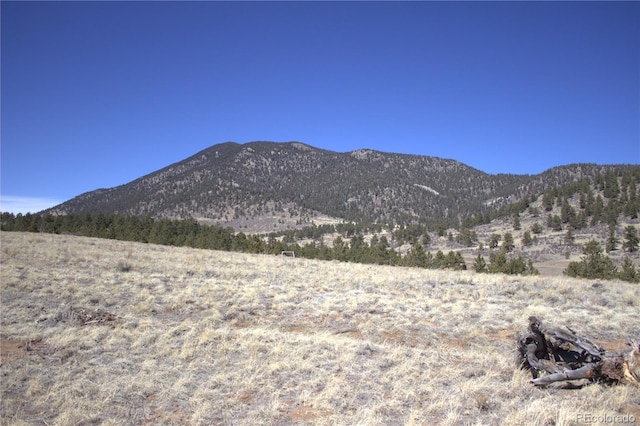 43 Stoll Cir, Lake George, CO 80827
